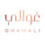 ghawali-logo-500x500