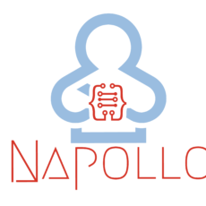 Napollo Logo-01