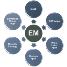 Enterprise Mobility_Overview of Offering