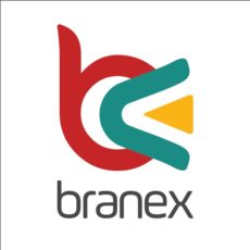 logo-branex-ca-retina