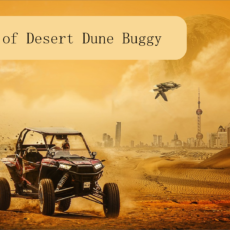 Charm of Desert Dune Buggies