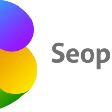 SEOPRO_logo-02