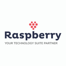 Raspberry IT Services log