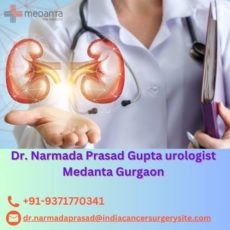 Trusted Urological Care Dr. Narmada Prasad Gupta's Expertise