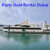 Party Boat Rental Dubai